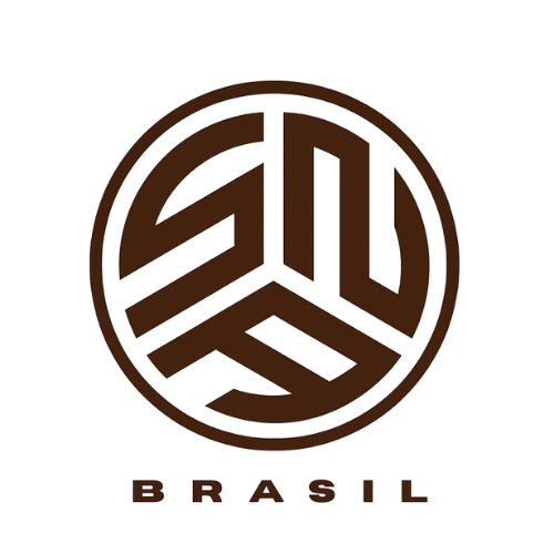 SNA BRASIL FUTEBOL DE BASE